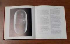 Illustrated Book Ritual Art Of India Nature Sivaism Vishnuism Saktism Syncretism