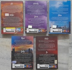Windy City Series 5 bookset Play Along Caught Up Right Move Mile High Rewind it