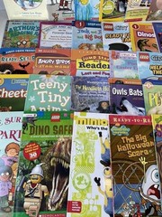 10 Beginning Early Reader Books Level 2 Step Into Reading Kids Book Random Lot