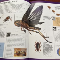 World of Wow, Set Of 4 Books, Body, Insects, Universe, Planets