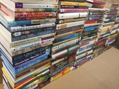 Instant Little FREE Library BOOKs~Value Lot~U PICK GENRE Mix~Fiction/Nonfiction