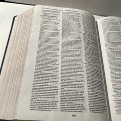 Niv, Thompson Chain-Reference Bible Revised & Updated, Comfort Print Leathersoft