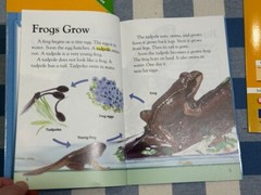 Lot 9 ALL DK Readers Interactive Science ELL Reading Support Homeschool Lv 1