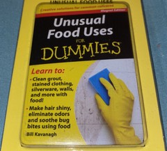 *NEW*Refrigerator Magnet Books*BOOK FOR DUMMIES*Unusual Food Uses*26 Pages*