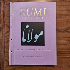 RUMI ILLUSTRATED by Jalal Al-Din Rumi (Chinese Bound Hardcover) *Brand New*