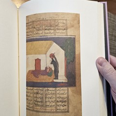 RUMI ILLUSTRATED by Jalal Al-Din Rumi (Chinese Bound Hardcover) *Brand New*