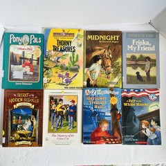 Lot of 10 Chapter Books Mixed Lot 2nd 3rd Grade Fiction Classroom Library Set