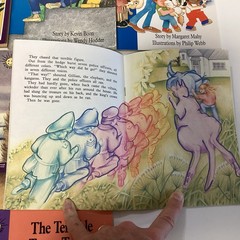 Sunshine Reader 2nd Grade 17 Book Lot Rigby Wright