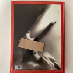 David LaChapelle: Burning Beauty (Photo Art, Celebrety Photo, 296 pages.)