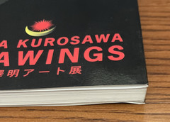 Akira Kurosawa Drawings 2004 Softcover Film Artwork Storyboards Japan Dreams Ran