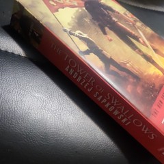 Andrzej Sapkowski The Tower of Swallows (The Witcher) Paperback English