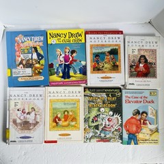 Lot of 10 Chapter Books Mixed Lot 2nd 3rd Grade Fiction Classroom Library Set