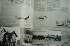The Dynamite Gang, The 367th Fighter Group in WWII, Richard Groh, Aero, LN 1983