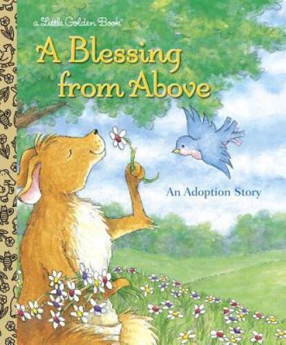A Blessing from Above (Little Golden Book) – Hardcover – ACCEPTABLE