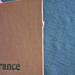 Deliverance by James Dickey, First Book Club Edition (hardcover 1970)VG+/VG