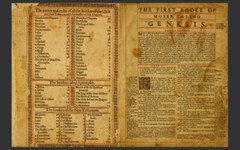 1560 Geneva Bible (E-Book) & Bonus 1599 Bible Ebook on CD-ROM -Scanned Original