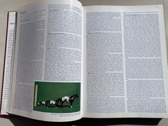 Breyer Horses,Riders & Animals Molds & Models 1950-1995 HC