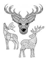 Deer best Coloring Book for Adults and Teens 108 Pages 8.5 x 11 for All Ages