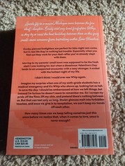 Just This Once: Deluxe Limited Edition by Lena Hendrix (2026, Trade Paperback)