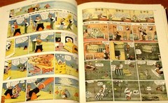 1977 The Smithsonian Collection of Newspaper Comics Hardcover Book 336 Pages