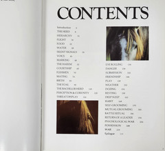 Such Is The Real Nature of Horses by Robert Vavra 1979 HC 340 Color Photos