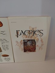 FAERIES Brian Froud Hardcover 1978 & 1979 Gnomes Huygen Illustrated Book Lot