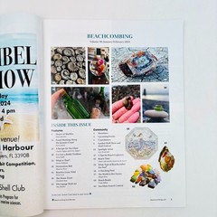 Beach Combing 10 Magazines Volumes 28 to 31 2022 & 35 to 40 2023 and 2024