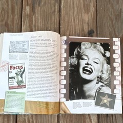 igloobooks Conspiracy Theories Hardcover Illustrated Nonfiction True Crime ISBN