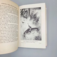Among the River Pirates by Hugh Lloyd 1934 Skippy Dare 1930s Reprint HCDJ