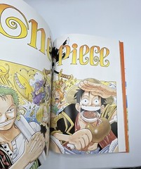 One Piece Color Walk 1 + Color Walk 2 Eiichiro Oda / Art of Shonen Jump