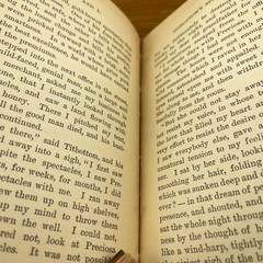 Vintage 1899 Prue And I George William Curtis Softcover Book