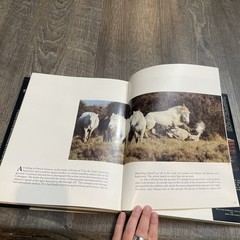 Such Is the Real Nature of Horses by Robert Vavra (1998, Hardcover/Dust Jacket)
