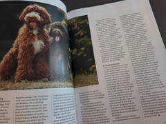 A Dog’s Life-Special Edition Magazine by Paw Print-How They Think, Feel & Thrive