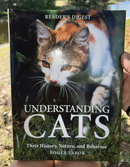 Understanding Cats: Their History, Nature, and Behavior by Tabor, Roger HB DJ