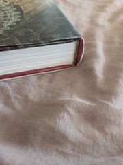 The Tudor Chronicles 1485-1603 Susan Doran Hardcover Illustrated History Book…