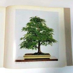 Kazuki Exhibition Bonsai Catalog 1980 84 Pots Japan Vintage 9.5×9.9in