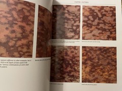 Camouflage Uniforms of the Waffen SS: A Reference by Michael Beaver