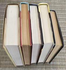Lot of 5 Hardcover Mystery & Fiction novels various authors see photo for titles