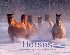 Horses: Explore the Beauty of These Majestic Animals Landscape Bo
