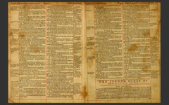 1560 Geneva Bible (E-Book) & Bonus 1599 Bible Ebook on CD-ROM -Scanned Original