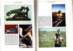 DIGGING DINOSAURS by JOHN R. Horner The Mystery of Baby Dinosaurs Montana