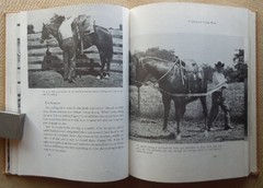 Saddle Up by Charles E. Ball