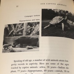 ‘OUR CAPTIVE ANIMALS’- J.J. McCOY-1971-RARE 1ST EDITION HC/DJ- EXOTIC & DOMESTIC