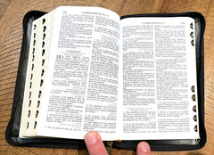 French Bible, La Sainte Bible – Segond 1910 Black Im Leather Zipper Red Letter
