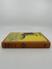 Dorothy and the Wizard in Oz L Frank Baum 1908 John R Neill HC DJ Good Vintage