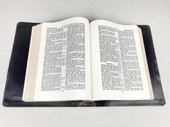 WORLD PUBLISHERS LOOSE LEAF KJV HOLY BIBLE CENTER COLUMN BONDED LEATHER RARE HTF