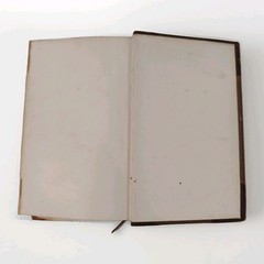 At Home With The Patagonians 1871 George Musters John Murray 1st Ed Map