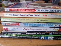 BOYS Chapter Books Lot of 8 ~ 8-12 Years Old – Classroom Library Homeschool