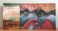 BUCHPAKET+6 BÜCHER+LIEBE+Romantik+ PATRICIA SHAW+SARAH LARK+ TB+BUNDLE