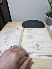 READING MAPPING FOR MEANING 71 GRAPHIC ORGANIZERS FOR By Linda Ward Beech